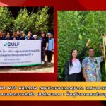 GULF MTP ผนึกกำลัง กลุ่มประมงฯหาดสุชาดา เทศบาลฯเนินพระ จ.ระยอง สานต่อความสำเร็จ เปิดโครงการ : ฟื้นฟูป่าชายเลนด้วยจุลินทรีย์ ปีที่ 4